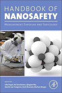 bokomslag Handbook of Nanosafety