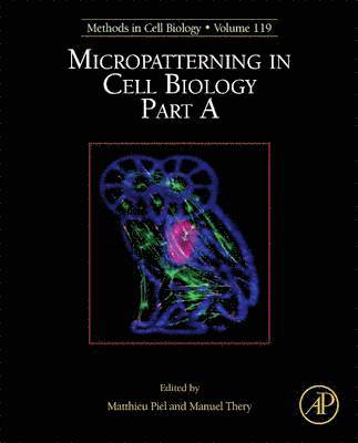 bokomslag Micropatterning in Cell Biology, Part A