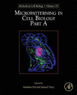 Micropatterning in Cell Biology, Part A, Inbunden