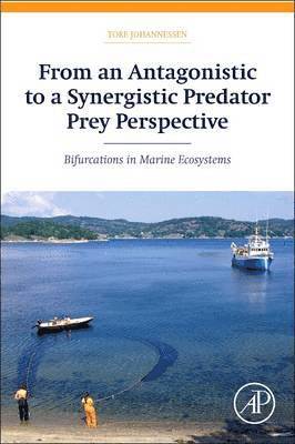 From an Antagonistic to a Synergistic Predator Prey Perspective 1