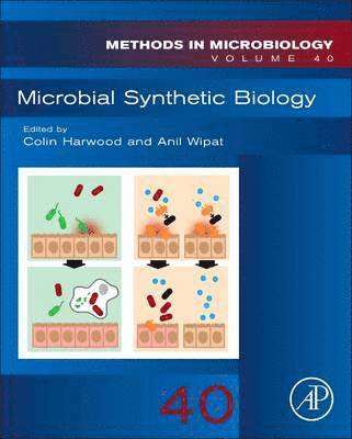 Microbial Synthetic Biology 1