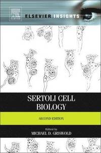 bokomslag Sertoli Cell Biology