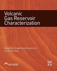 bokomslag Volcanic Gas Reservoir Characterization