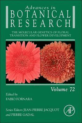 bokomslag The Molecular Genetics of Floral Transition and Flower Development