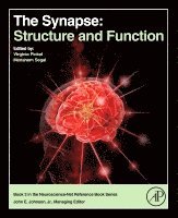 Virginia M. Pickel, Menahem Segal, Virginia M Pickel - The Synapse, Inbunden