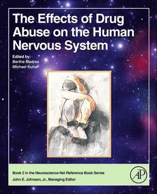 The Effects of Drug Abuse on the Human Nervous System 1