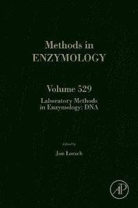 bokomslag Laboratory Methods in Enzymology: DNA