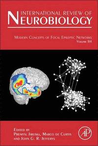 bokomslag Modern Concepts of Focal Epileptic Networks