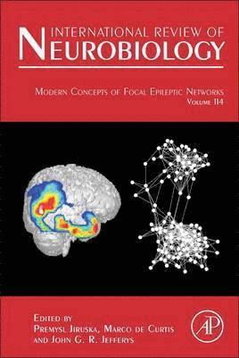 Modern Concepts of Focal Epileptic Networks 1