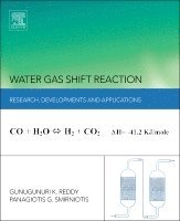 bokomslag Water Gas Shift Reaction