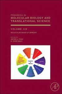 bokomslag Molecular Basis of Memory