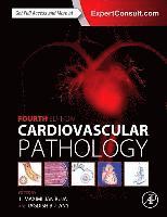 Cardiovascular Pathology