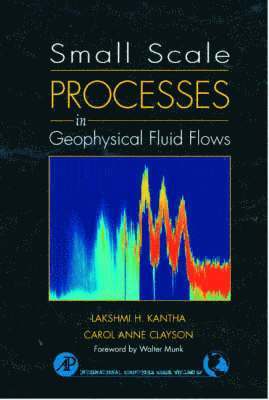 bokomslag Small Scale Processes in Geophysical Fluid Flows