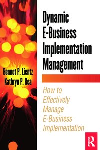 bokomslag Dynamic E-Business Implementation Management