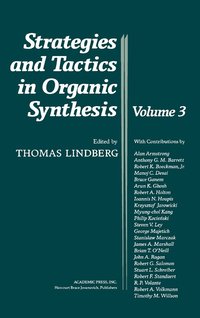 bokomslag Strategies and Tactics in Organic Synthesis