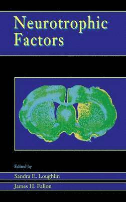 bokomslag Neurotrophic Factors