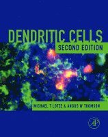 Michael T. Lotze, Angus W. Thomson - Dendritic Cells, Inbunden