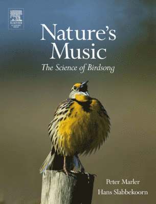 Nature's Music 1