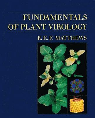R C Matthews - Fundamentals of Plant Virology, Inbunden