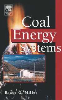bokomslag Coal Energy Systems