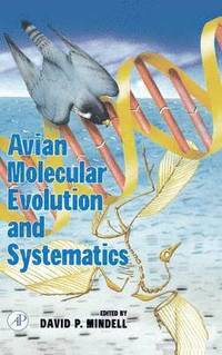 bokomslag Avian Molecular Evolution and Systematics