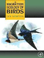 bokomslag The Migration Ecology of Birds