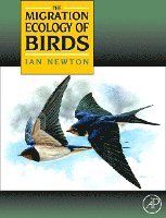 Ian Newton - The Migration Ecology of Birds, Inbunden