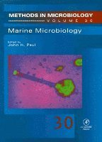 bokomslag Marine Microbiology