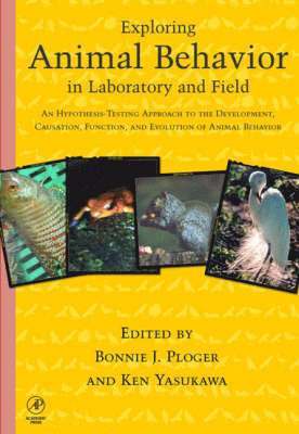 bokomslag Exploring Animal Behavior in Laboratory and Field