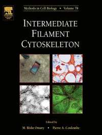 bokomslag Intermediate Filament Cytoskeleton