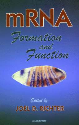 Joel D. Richter, Joel D Richter - mRNA Formation and Function, Inbunden