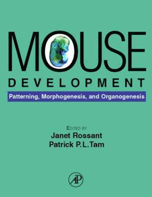 bokomslag Mouse Development