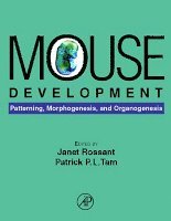 Mouse Development