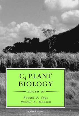 bokomslag C4 Plant Biology