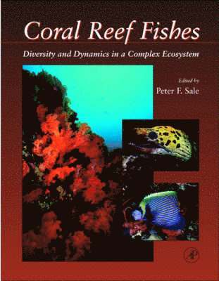 bokomslag Coral Reef Fishes