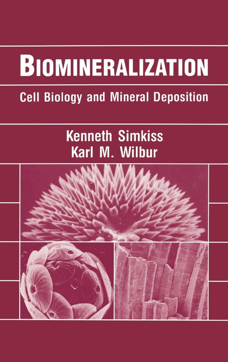 Biomineralization 1