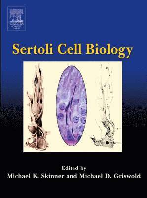 Sertoli Cell Biology