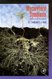 Mycorrhizal Symbiosis