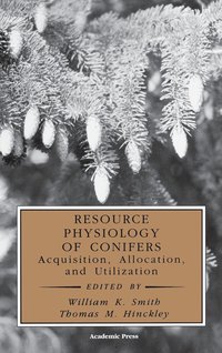 bokomslag Resource Physiology of Conifers