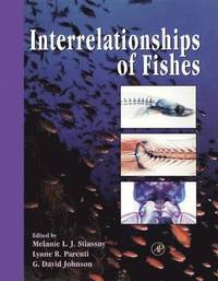 bokomslag Interrelationships of Fishes