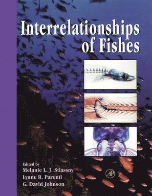 bokomslag Interrelationships of Fishes