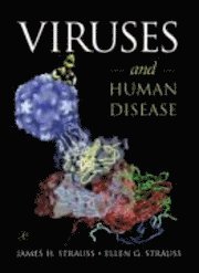 Ellen G. Strauss, James H. Strauss - Viruses and Human Disease, Inbunden
