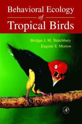 Bridget J.M. Stutchbury, Eugene S. Morton - Behavioral Ecology of Tropical Birds, Häftad