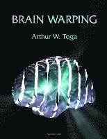 Arthur W. Toga - Brain Warping, Inbunden