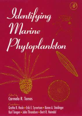 bokomslag Identifying Marine Phytoplankton