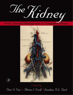 The Kidney 1