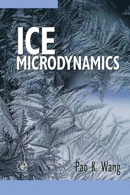 bokomslag Ice Microdynamics