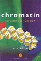 bokomslag Chromatin