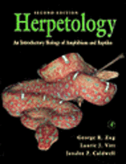 Laurie J. Vitt, George R. Zug, Janalee P. Caldwell - Herpetology, Inbunden