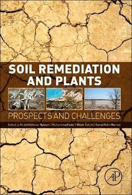 bokomslag Soil Remediation and Plants